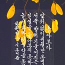 일우 이미지