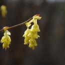 칠보중학교 이미지