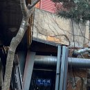 그때그시절 숨겨진 정원 이미지