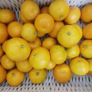 순연농장 이미지