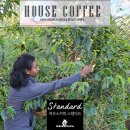 13월의 태양 이미지