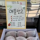 벳내린 | 제주 애플망고빙수 맛집 투어 (벳내린, 제주 신라호텔 바당, 애플망고1947)