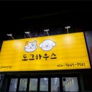 김해 강아지분양 고양이분양 도그하우스 대성점 이미지