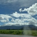 무지개농장 | 케언즈 바나나 농장 일주일 후기 세컨비자 기록