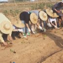 흥덕농장 이미지