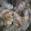 울금(강황)가루 생울금 (강황) 울금환(강황)판매 돼지감자 가루 뻥튀기판매 이미지