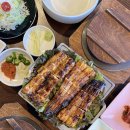 칠암바다장어 이미지