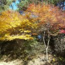 서로좋은