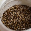 솔로몬농장 이미지