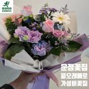 피오레베로