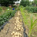 평남농장 이미지