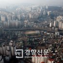 신흥부동산