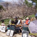 광양농원 이미지