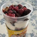 요고트 | 메가커피 요고트젤라또 후기