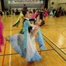 제15회 영남배 댄스스포츠대회 및 댄스페스티벌// 모던 프로페셔널 준결승 photo15 이미지