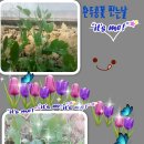 지암농장 네이버블로그