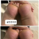 손미담