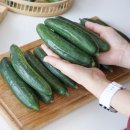 박재호농장 이미지