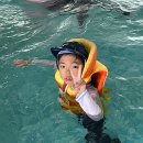 피닉스태권도장 이미지