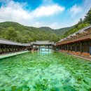 장흥수영장 이미지