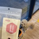 견생냥품 무인24시 안산초지역점 | 견생냥품, 무인애견용품 초지역점방문후기