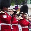 왕실공인중개사사무소 이미지