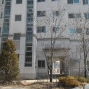 술이홀로(2) 네이버블로그