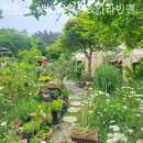 샛별팬션 이미지