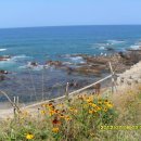 바다마을민박 이미지