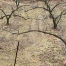 지오농장 이미지