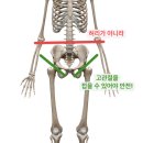 아워플레이스PT&필라테스 | 성신여대 pt 필라테스 바디메이킹 | 15회 만에 척추측만 개선 후기