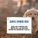 하남동물병원 이미지