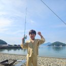 이마트24(거제농소몽돌점) | 경남 거제 농소몽돌해변 노지 캠핑 후기