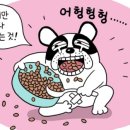 털찐강아지 이미지