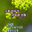 오늘하루가 이미지