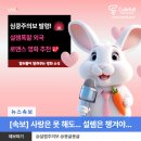 ㈜디 앤 에이 | 심쿵주의보 발령! 설렘 폭발 외국 로맨스 영화 추천 4선 💖