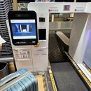 코리아세븐 인천금곡점 | 포르투갈 스페인 신혼여행 (1) - 포르투 공항에서 숙소, 모루공원