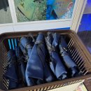 오천수족관 이미지