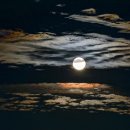 공원수퍼 이미지