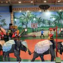 점보빌리지 이미지