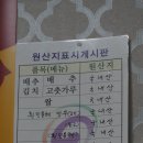 흰민들레만두