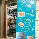 커피트리 이미지