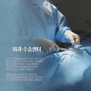 모모케이스광주점 | 고양이 이물 섭취, 폐색성 소장 내 이물 제거 수술 후기 [24시 노아동물메디컬센터 진료케이스]