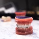 탑플랜치과의원 이미지