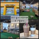 도그빌리지 | 경산 애견카페 실내 도그빌리지