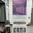 몽담일광