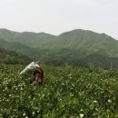 속리산농원