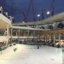 CRANE WORLD 이미지