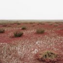 생의 공간 이미지