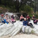 사미정민박 이미지